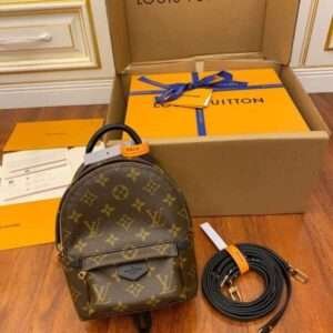 Louis Vuitton Palm Springs Mini Backpack Brown 17x22cm