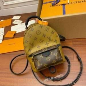 Louis Vuitton Palm Springs Mini Monogram Backpack 17x22cm